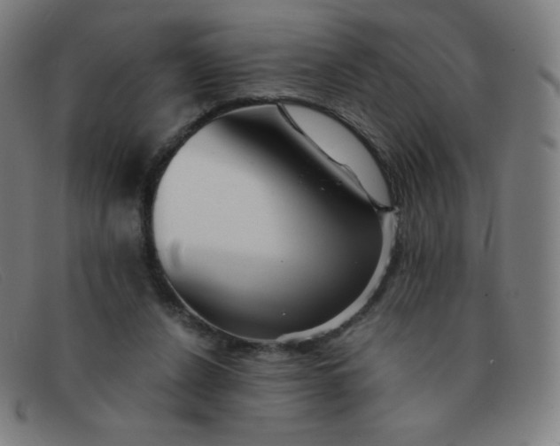 X0000091340256200708311502