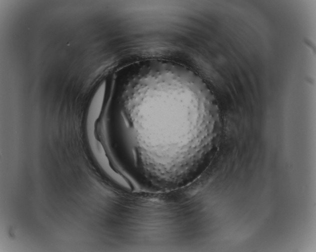 X0000091340258200708311502