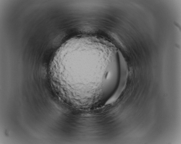 X0000091340259200708311502