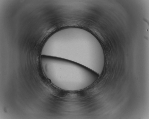 X0000091340260200708311502