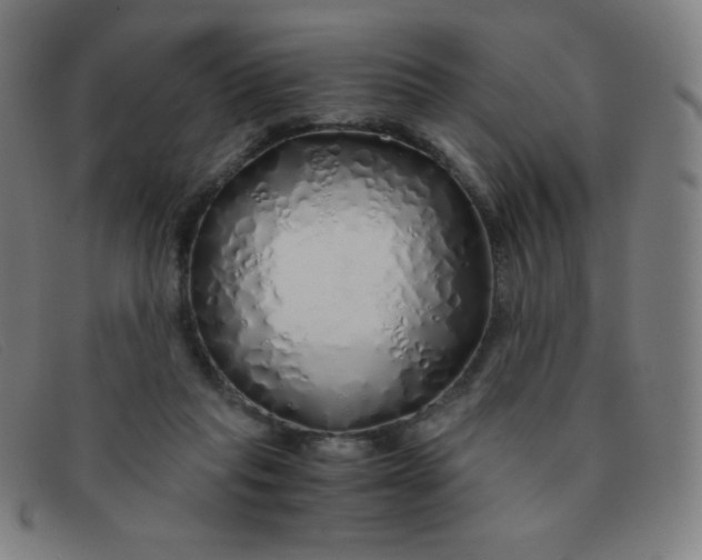 X0000091340261200708311502