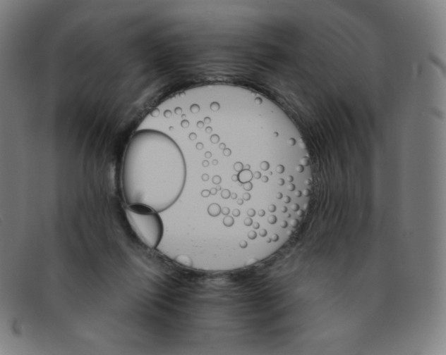 X0000091340262200708311502