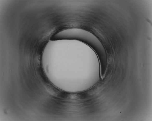 X0000091340264200708311502