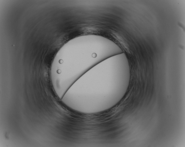 X0000091340265200708311502