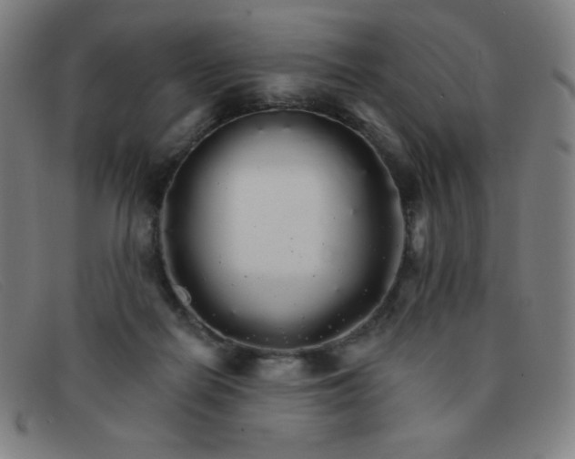 X0000091340266200708311502