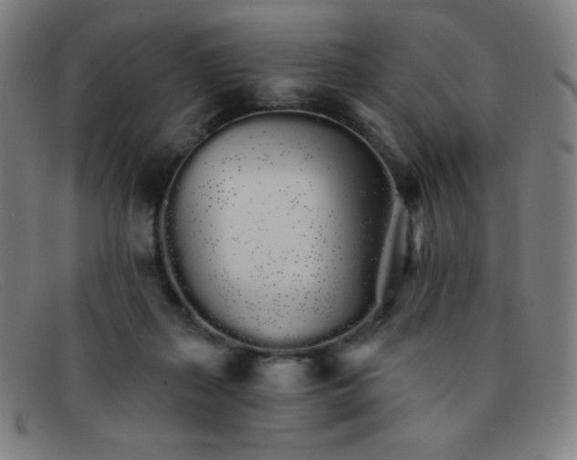 X0000091340267200708311502