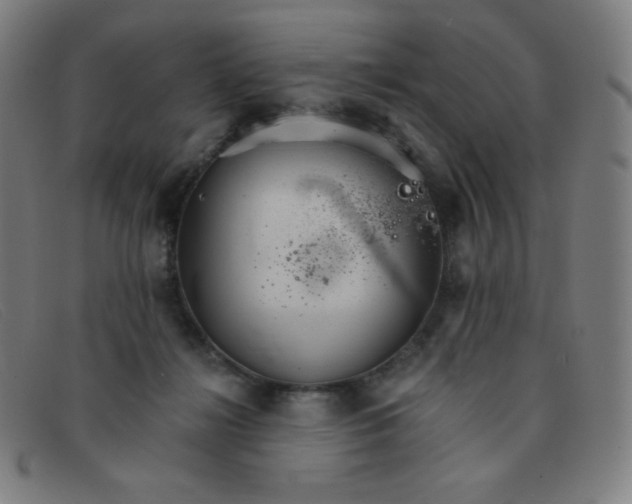 X0000091340268200708311502