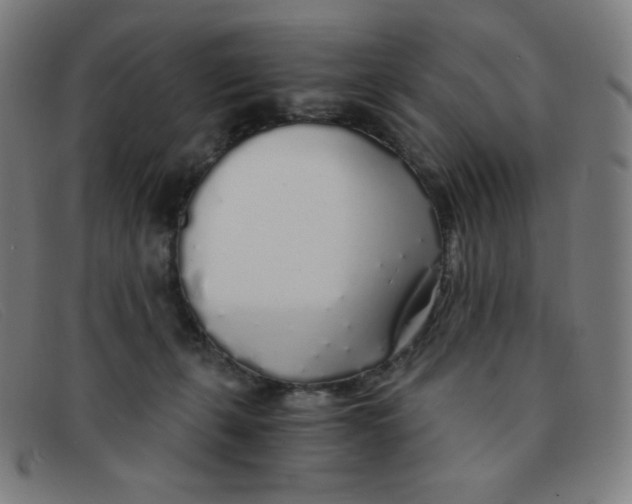 X0000091340271200708311502