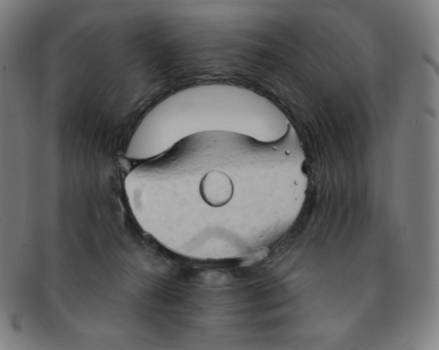 X0000091340272200708311502