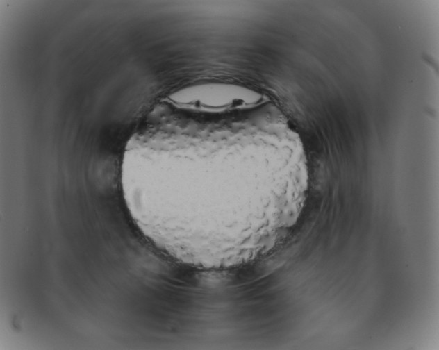 X0000091340273200708311502