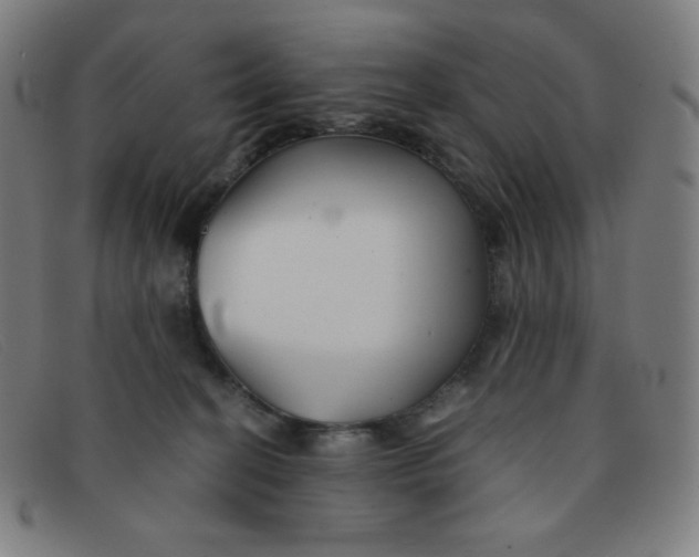 X0000091340274200708311502