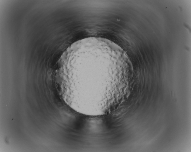 X0000091340275200708311502