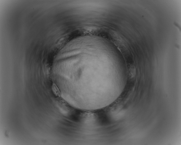 X0000091340276200708311502