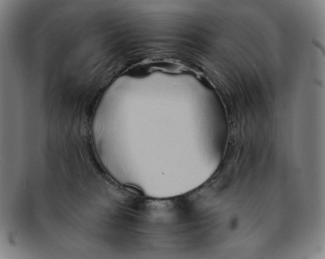 X0000091340277200708311502