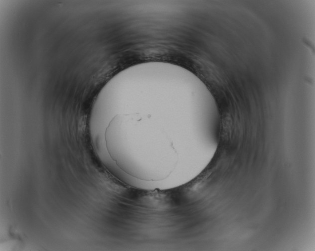 X0000091340278200708311502