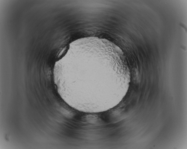 X0000091340279200708311502