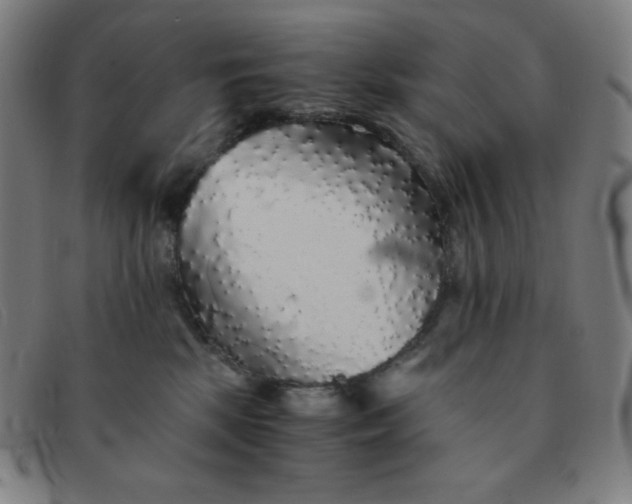 X0000091340281200708311502