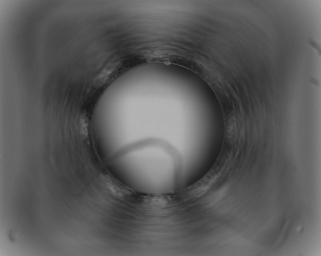 X0000091340282200708311502