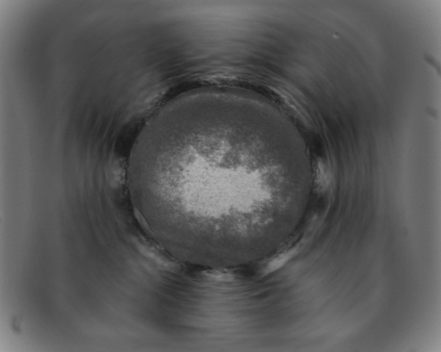 X0000091340284200708311502