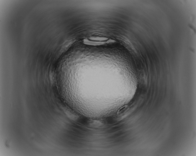 X0000091340285200708311502