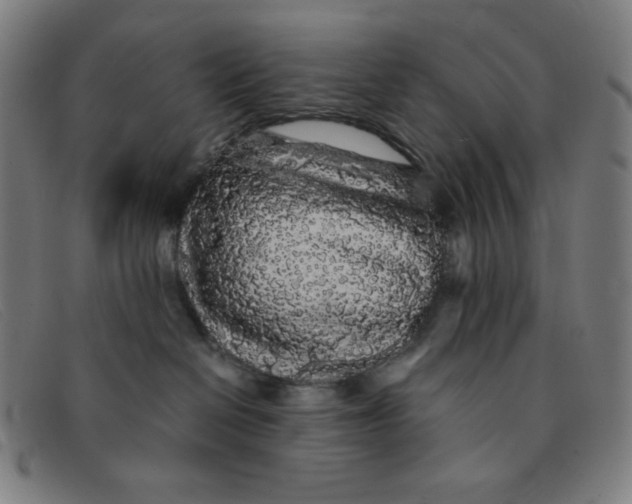 X0000091340286200708311502