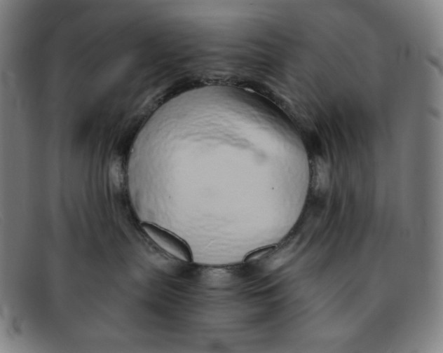 X0000091340287200708311502