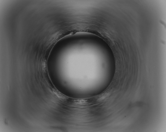 X0000091340288200708311502