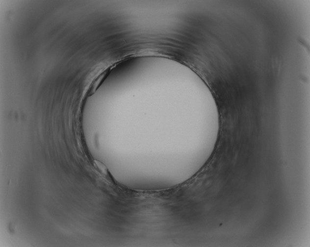 X0000091340289200708311502