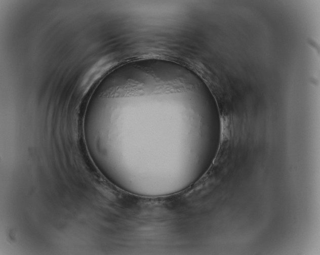 X0000091340291200708311502