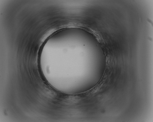 X0000091340292200708311502