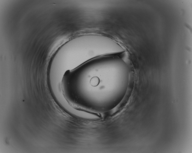 X0000091340293200708311502