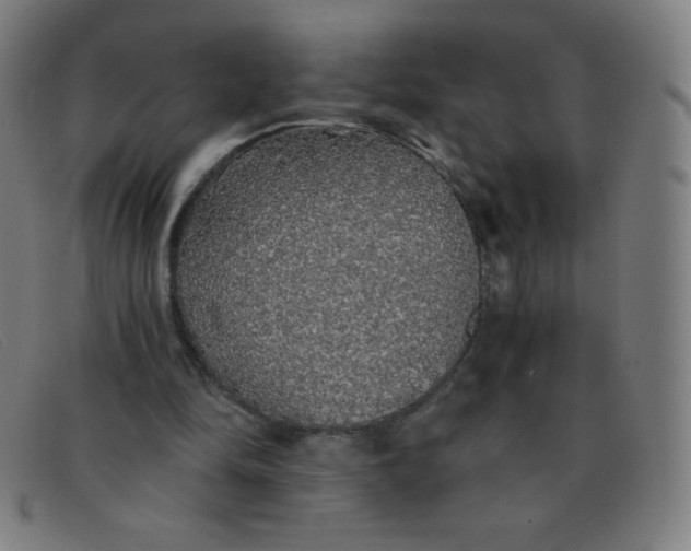 X0000091340294200708311502