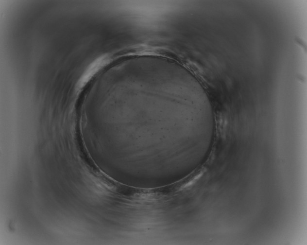 X0000091340295200708311502