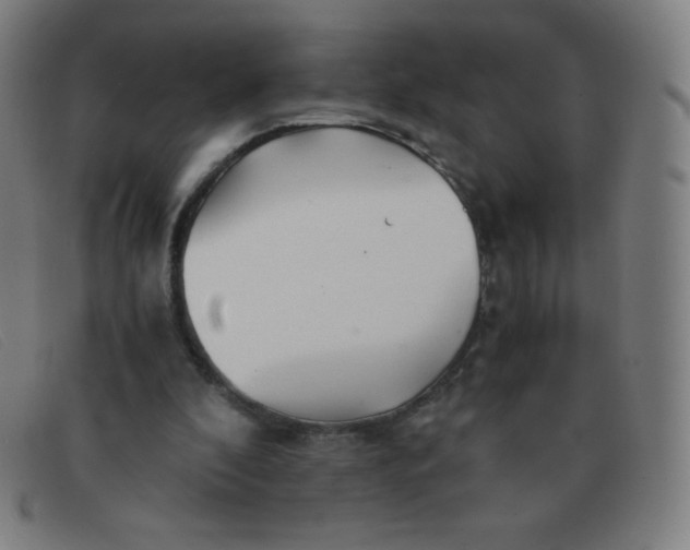 X0000091340296200708311502