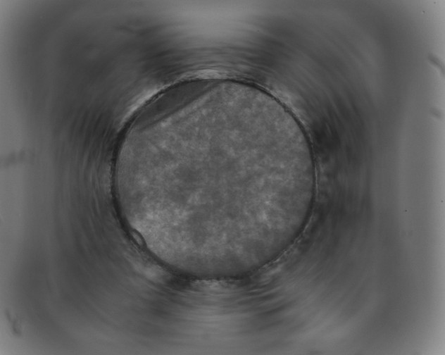 X0000091340297200708311502