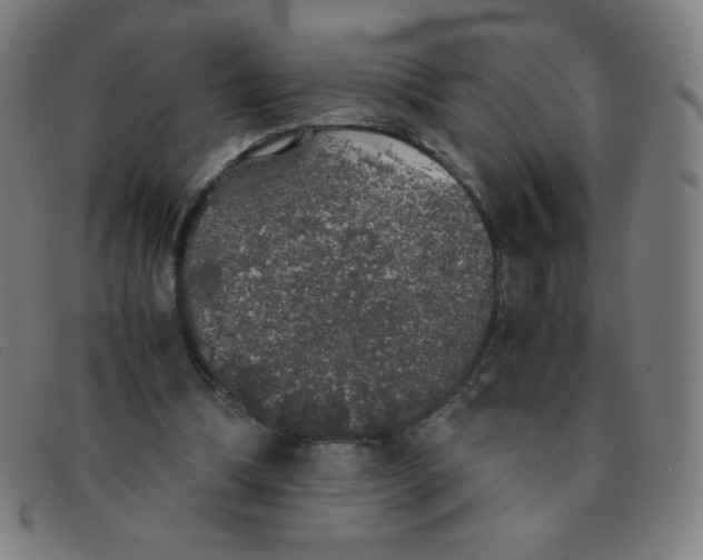 X0000091340298200708311502