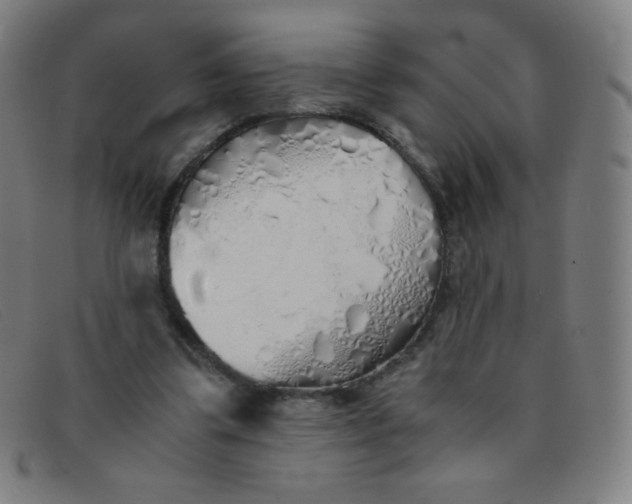 X0000091340299200708311501