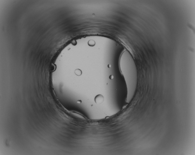 X0000091340301200708311501