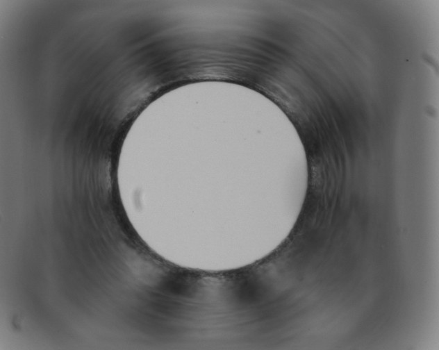 X0000091340302200708311501