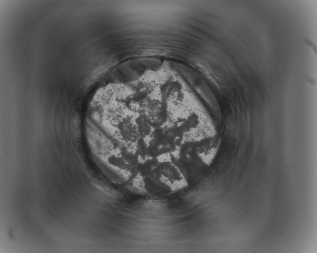 X0000091340303200708311501