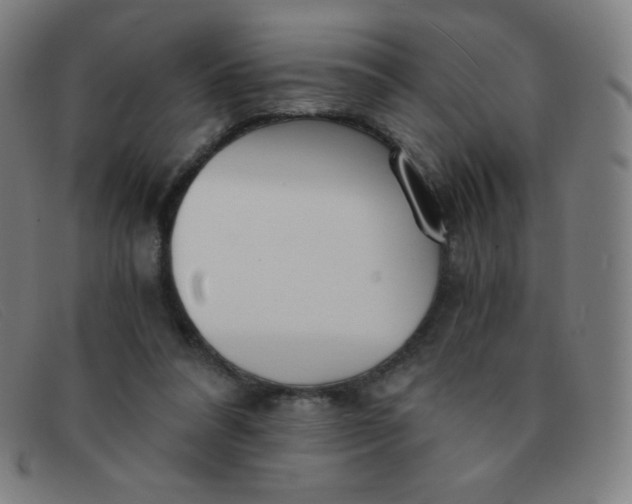 X0000091340304200708311501