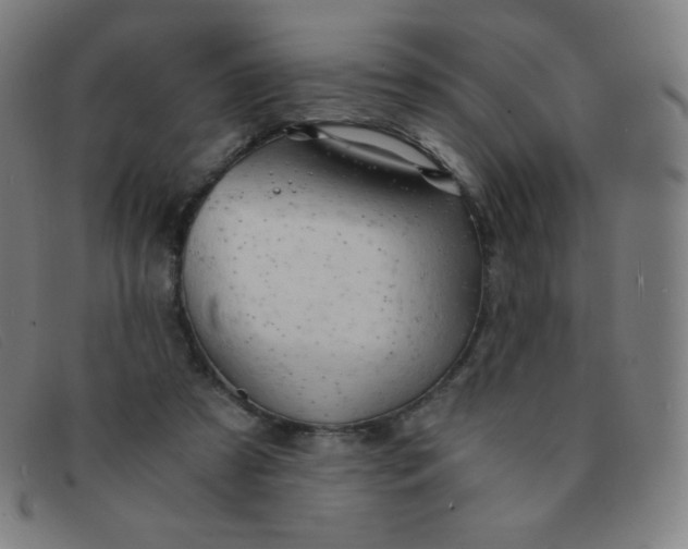 X0000091340305200708311501