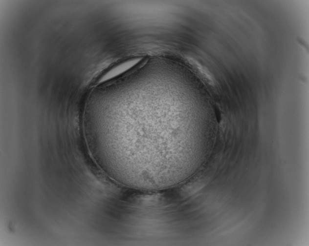 X0000091340306200708311501