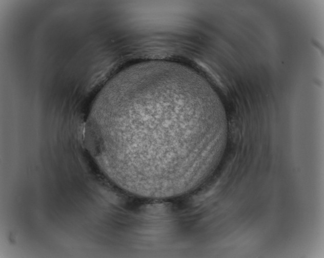 X0000091340307200708311501