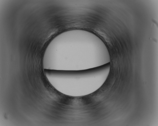 X0000091340308200708311501