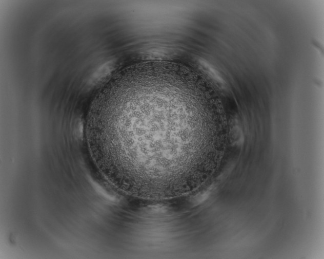 X0000091340310200708311501