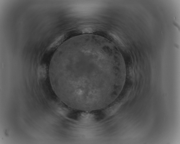 X0000091340311200708311501