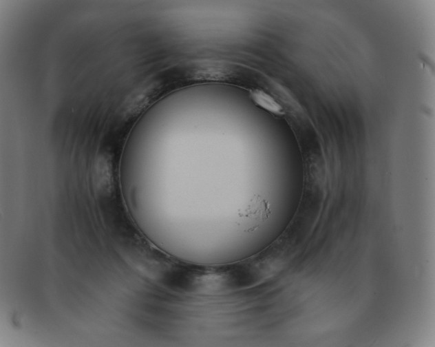 X0000091340312200708311501