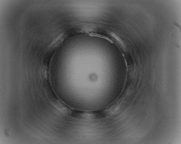 X0000091340313200708311501