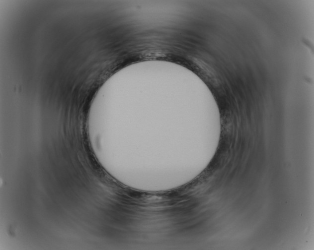 X0000091340315200708311501